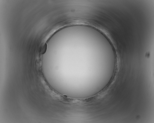 X0000113911097200909241259
