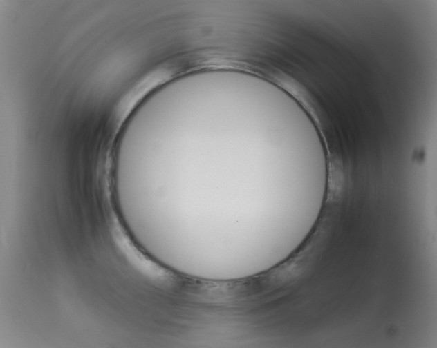 X0000113911098200909241259