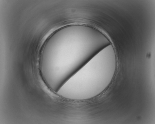 X0000113911099200909241259