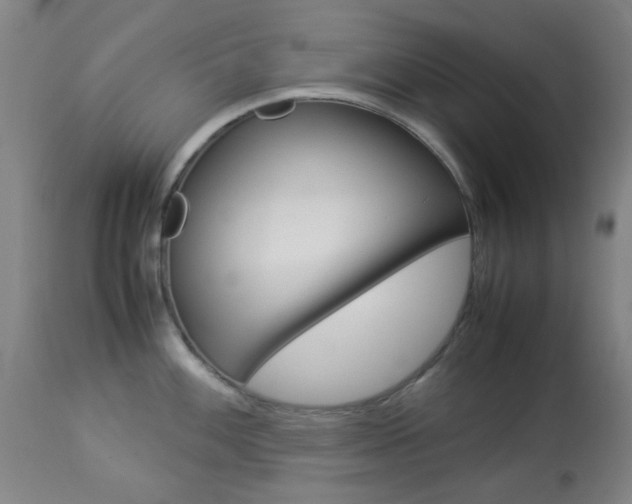 X0000113911100200909241259
