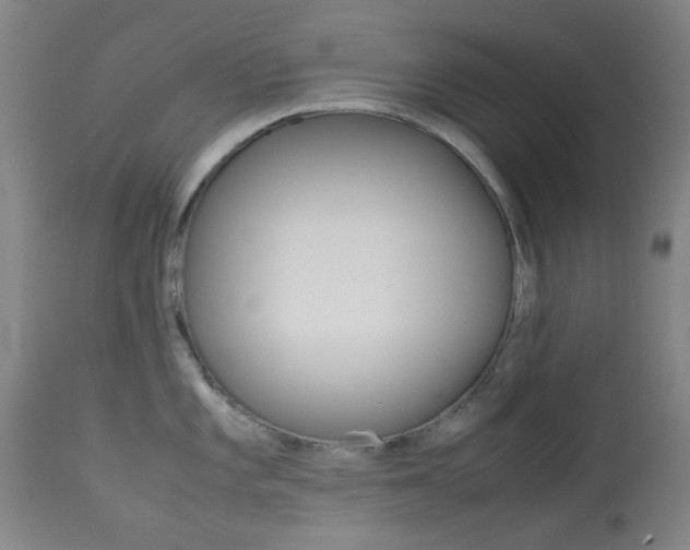 X0000113911101200909241259