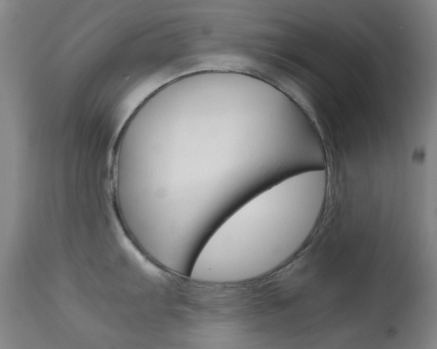 X0000113911103200909241259