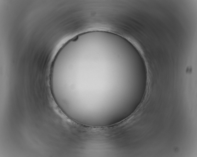 X0000113911104200909241259