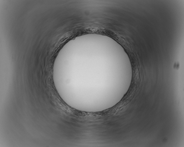 X0000113911105200909241258