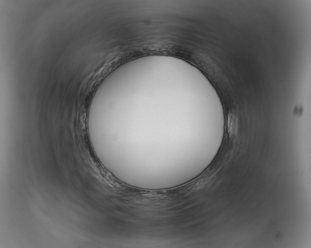 X0000113911107200909241258