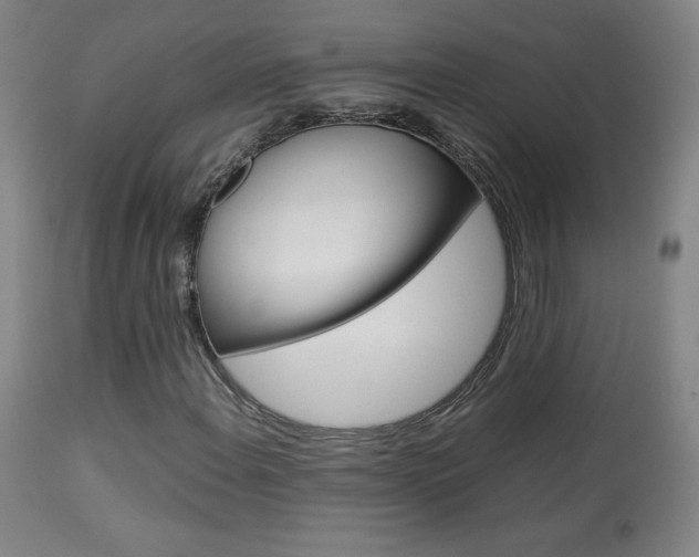 X0000113911108200909241258