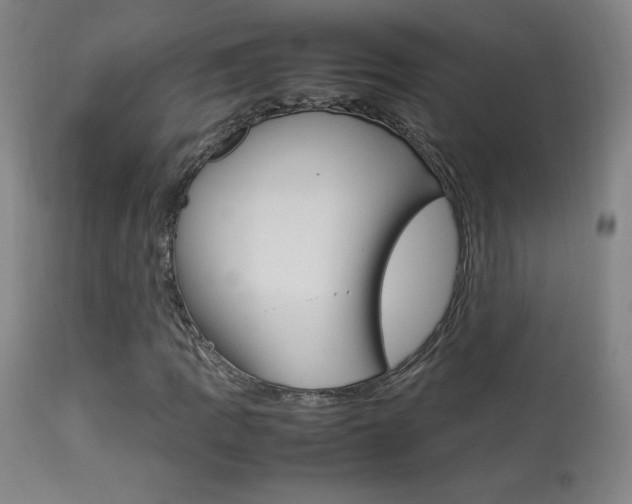 X0000113911109200909241258
