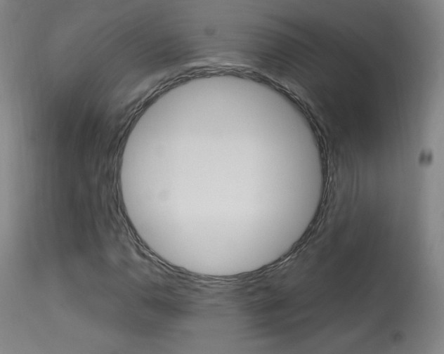 X0000113911110200909241258