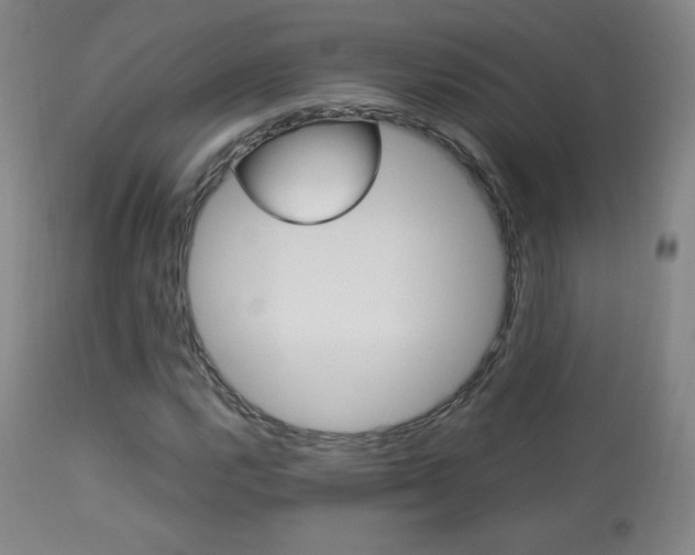 X0000113911112200909241258