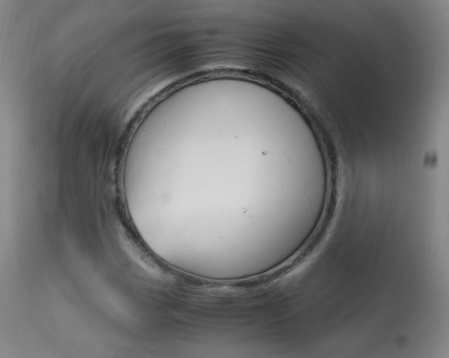 X0000113911113200909241258