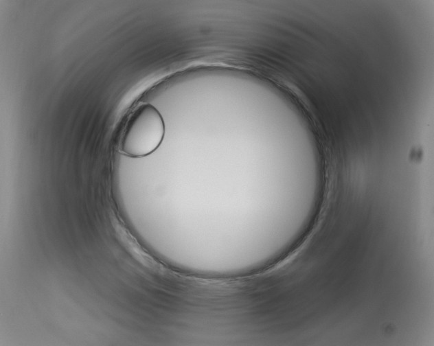 X0000113911114200909241258