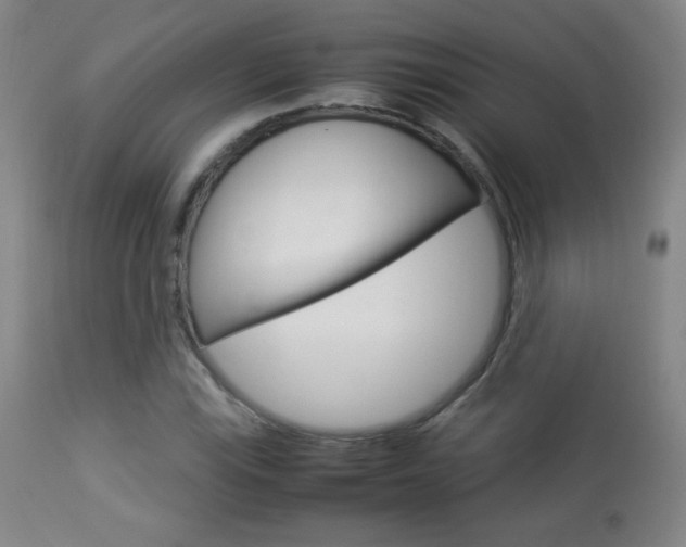 X0000113911115200909241258