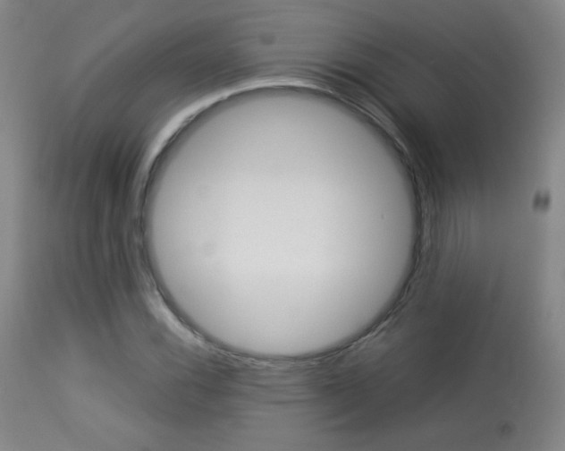 X0000113911116200909241258