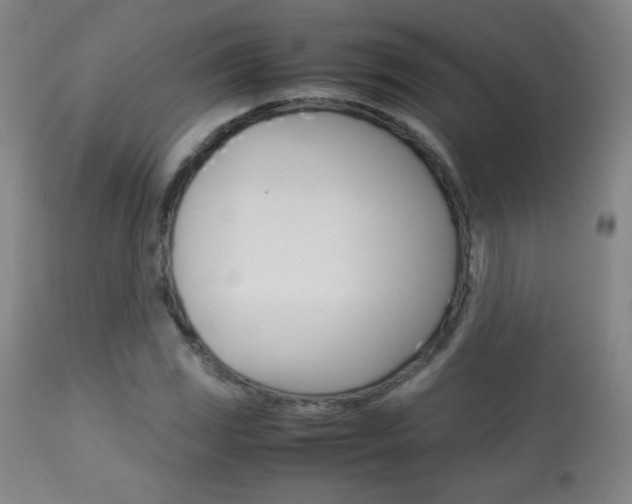 X0000113911117200909241259