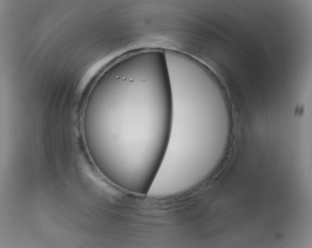 X0000113911120200909241259