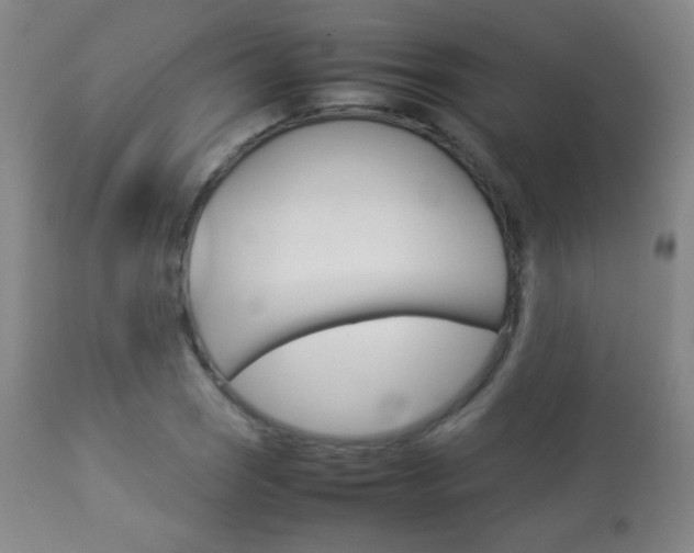 X0000113911121200909241259