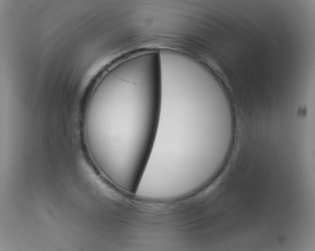 X0000113911122200909241259