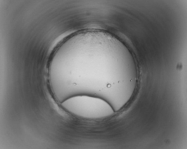 X0000113911125200909241259
