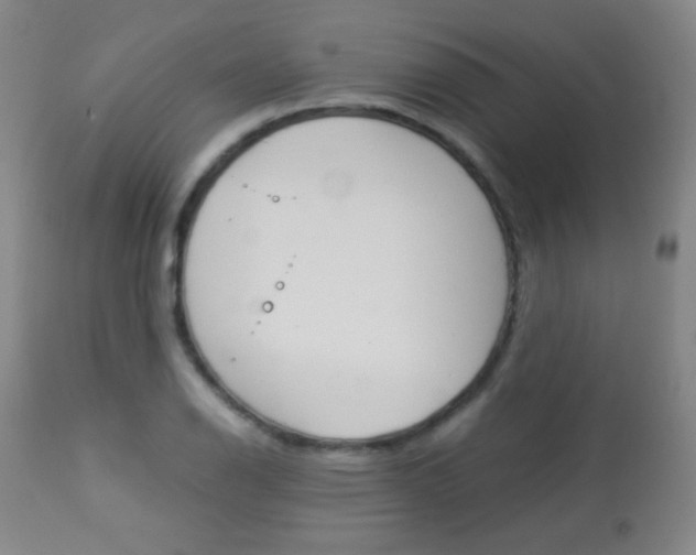 X0000113911126200909241259