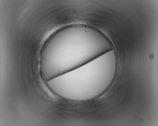 X0000113911127200909241259