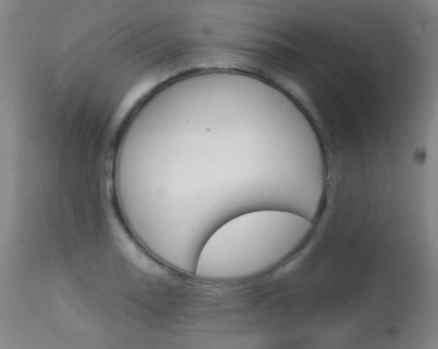 X0000113911130200909241259