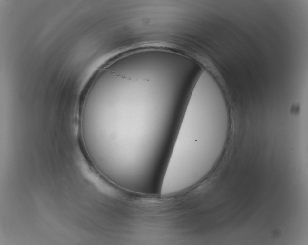 X0000113911132200909241259