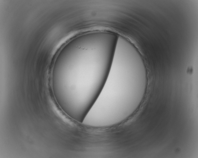 X0000113911134200909241259