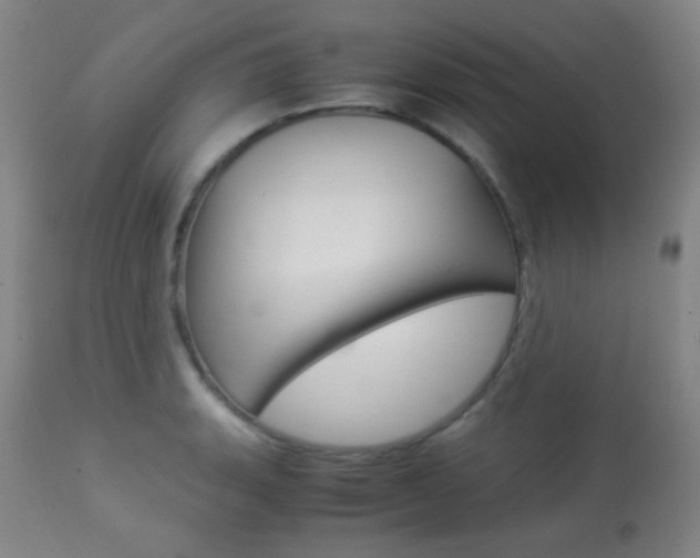 X0000113911135200909241259