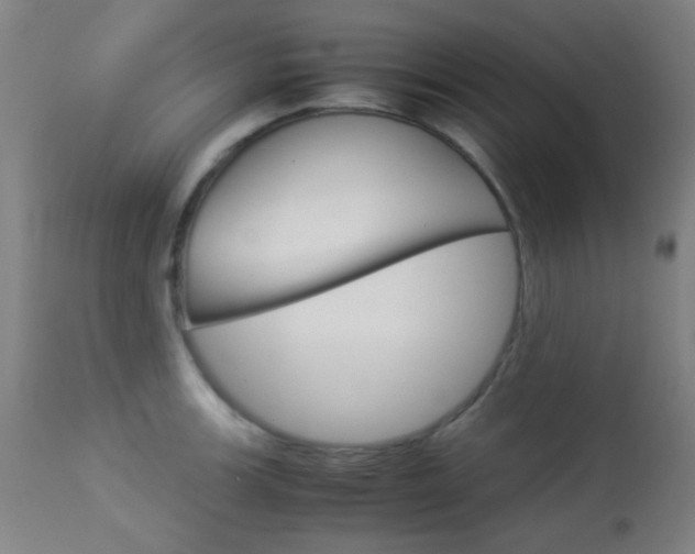 X0000113911139200909241259