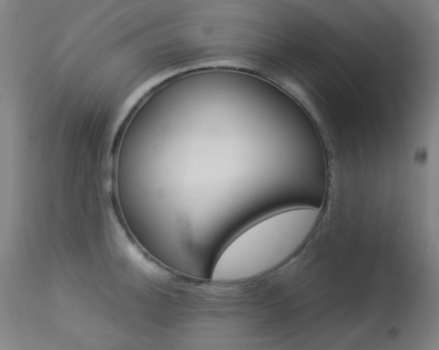 X0000113911140200909241259