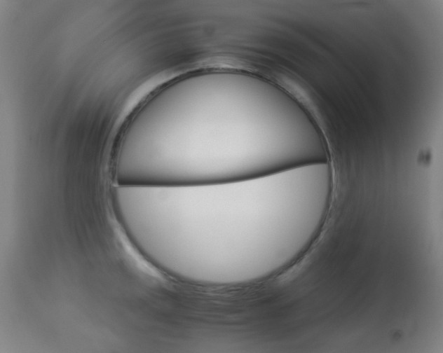 X0000113911141200909241259