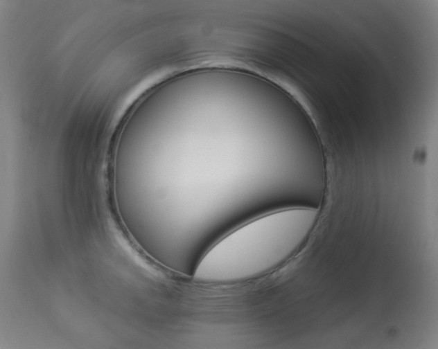 X0000113911142200909241259