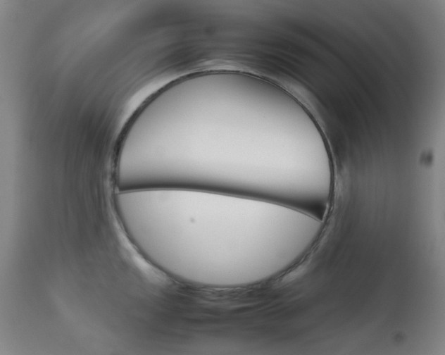 X0000113911149200909241259