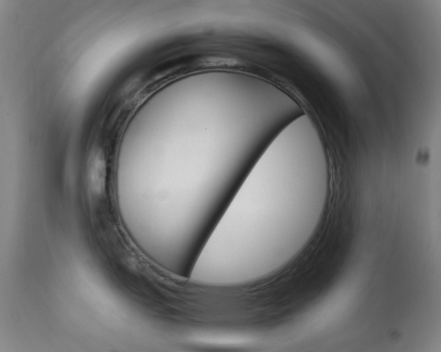 X0000113911151200909241259