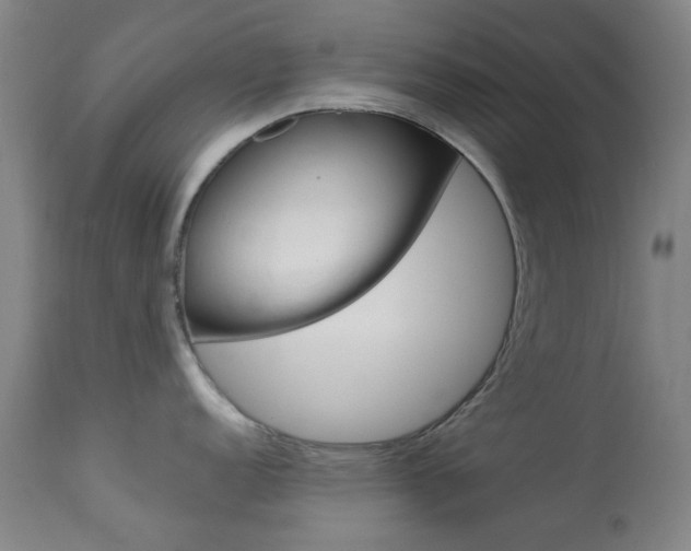 X0000113911152200909241259