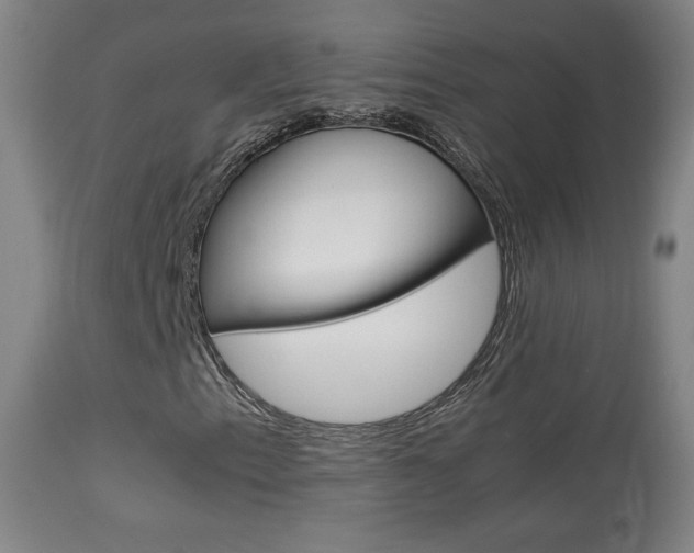 X0000113911153200909241258