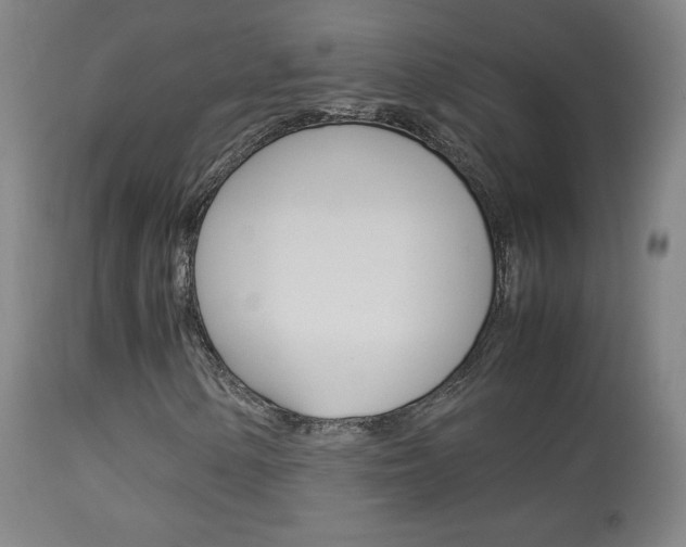 X0000113911154200909241258