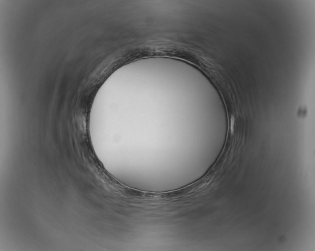 X0000113911155200909241258