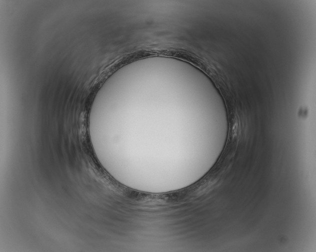 X0000113911156200909241258