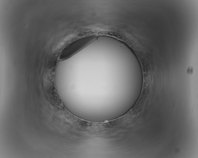 X0000113911157200909241258