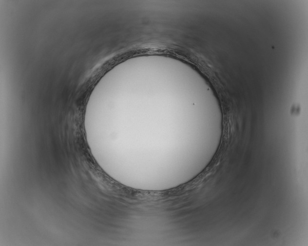 X0000113911158200909241258