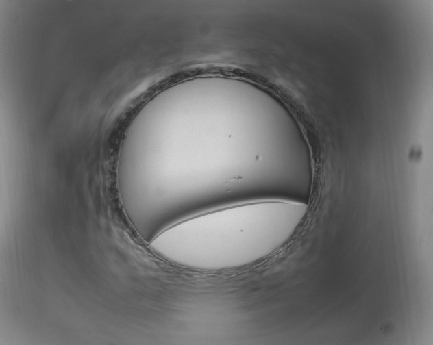 X0000113911159200909241258