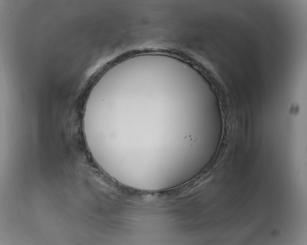 X0000113911160200909241258