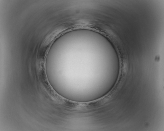 X0000113911161200909241258