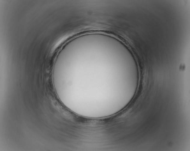 X0000113911163200909241258
