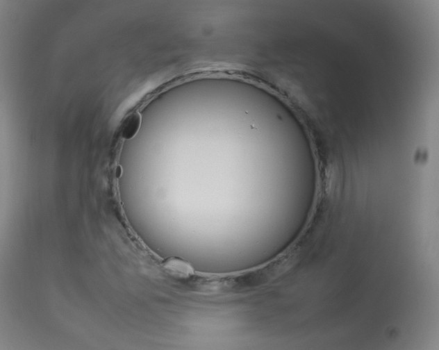 X0000113911165200909241258