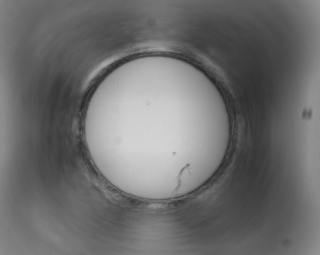 X0000113911166200909241258