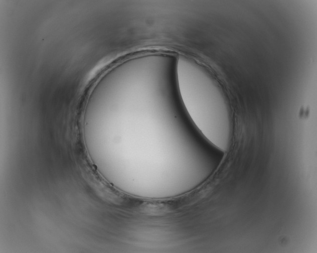 X0000113911168200909241258