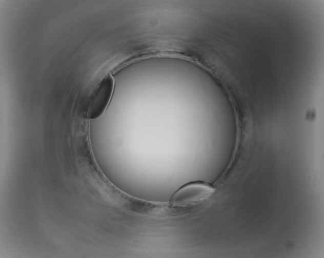 X0000113911169200909241258
