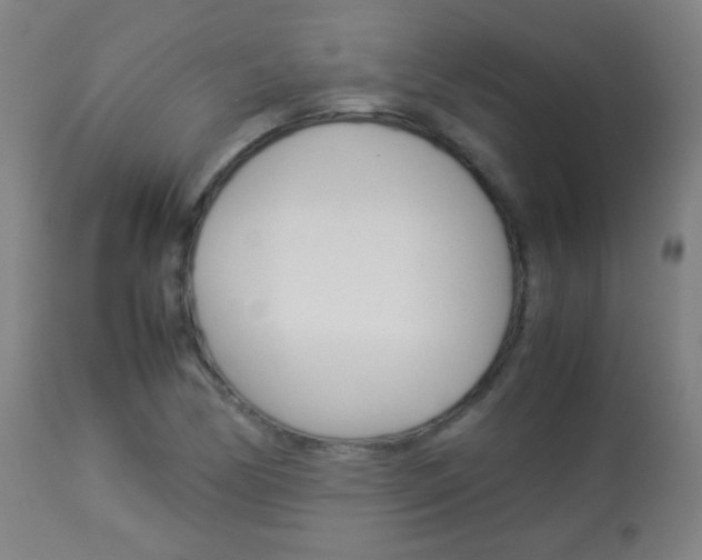 X0000113911170200909241258